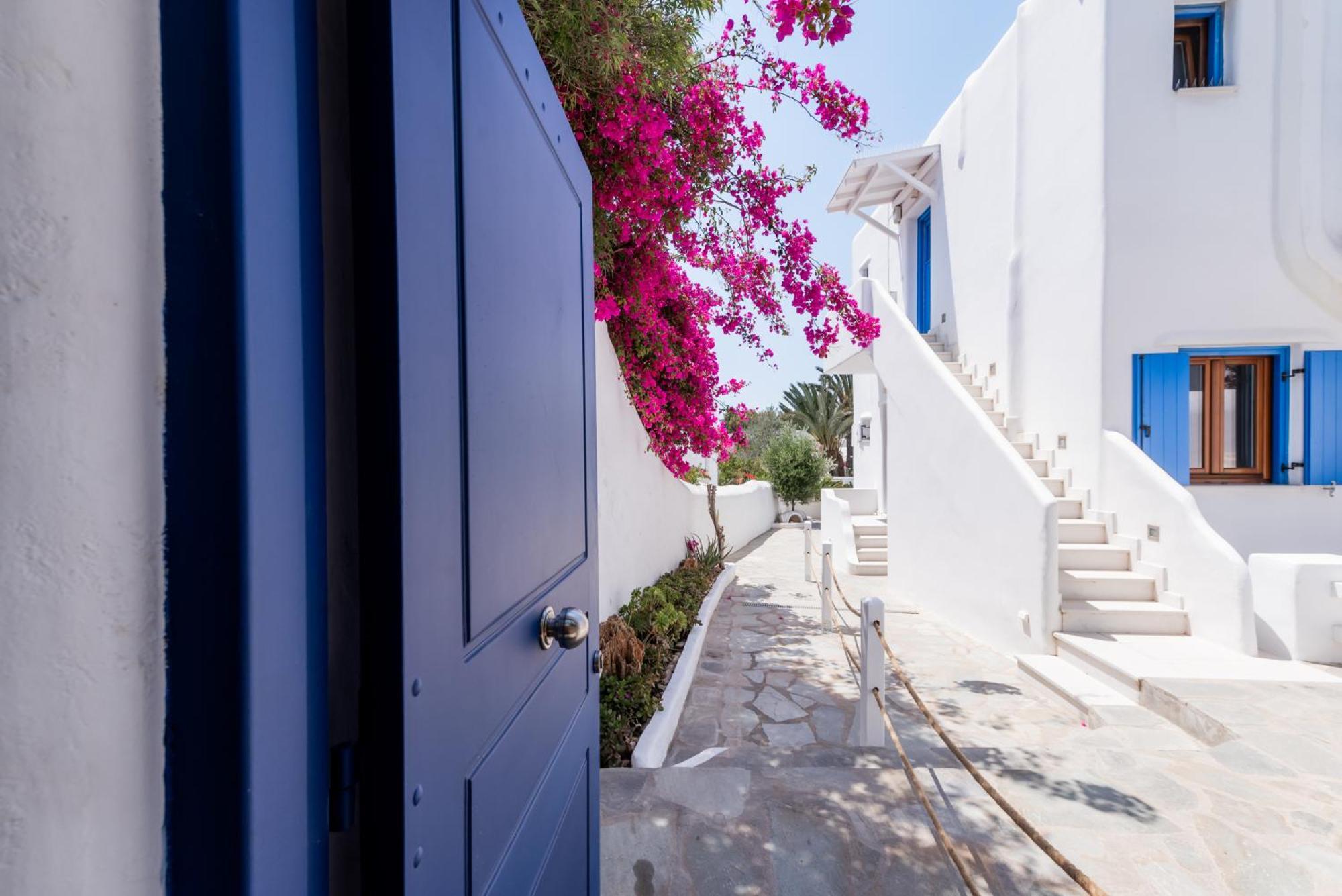 Olive Tree & Capari Mykonos Town Homes & Apartments With Pool! Exterior foto