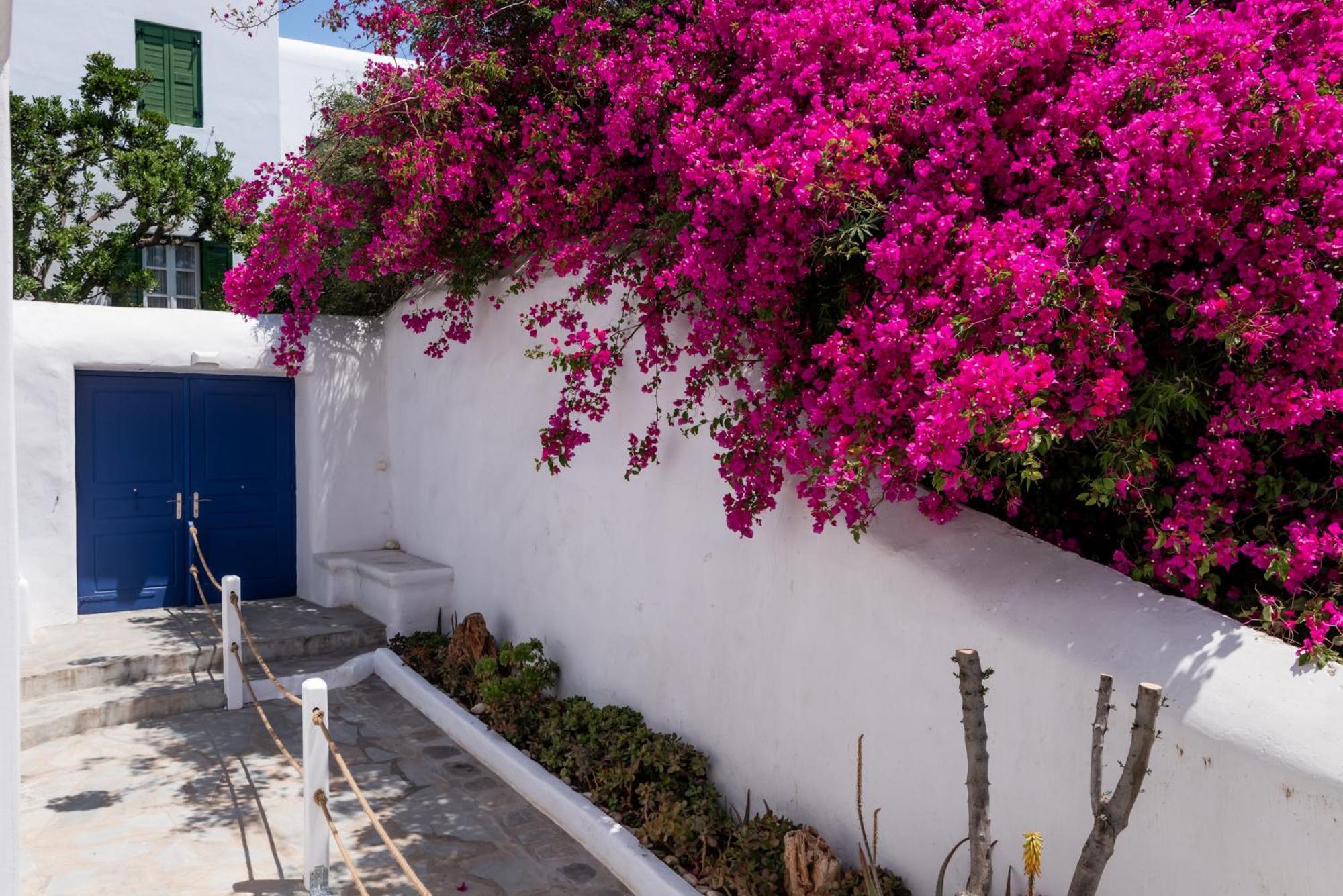 Olive Tree & Capari Mykonos Town Homes & Apartments With Pool! Exterior foto